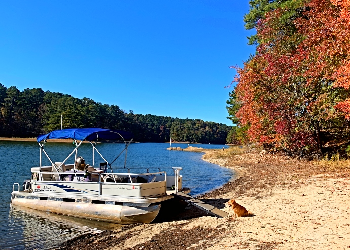 Lake Days at Lake Allatoona in Georgia 