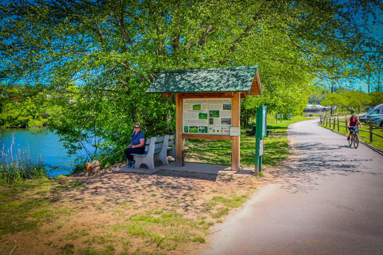 Cyclist on Little Tennessee River Greenway in Franklin NC