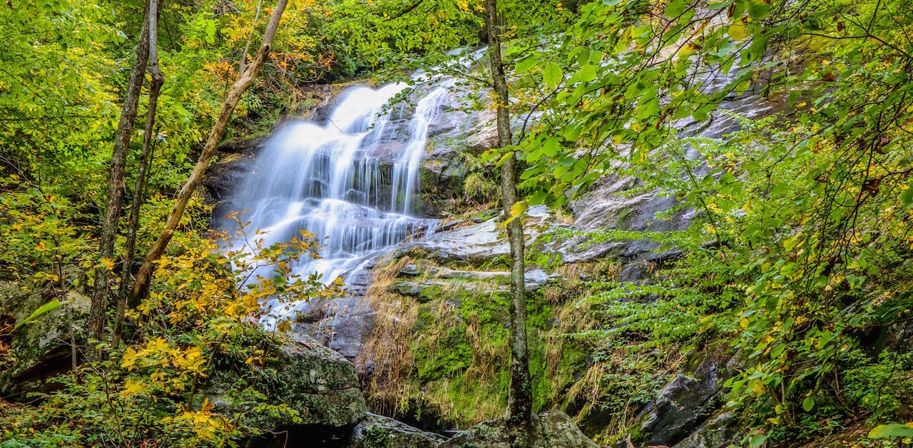 9 Great Rail Trails in Virginia - State Parks Blogs