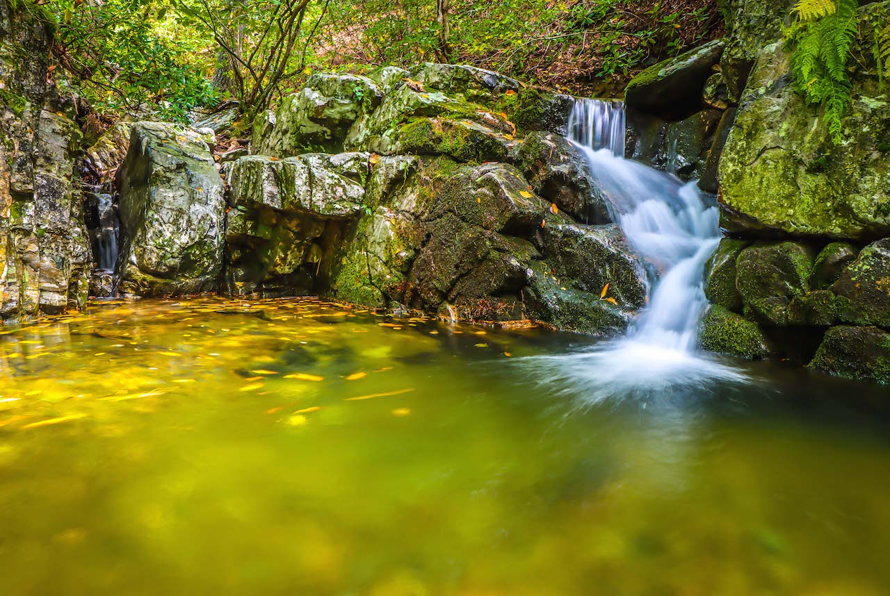 White Rock Falls Trail on the Blue Ridge Parkway in Virginia