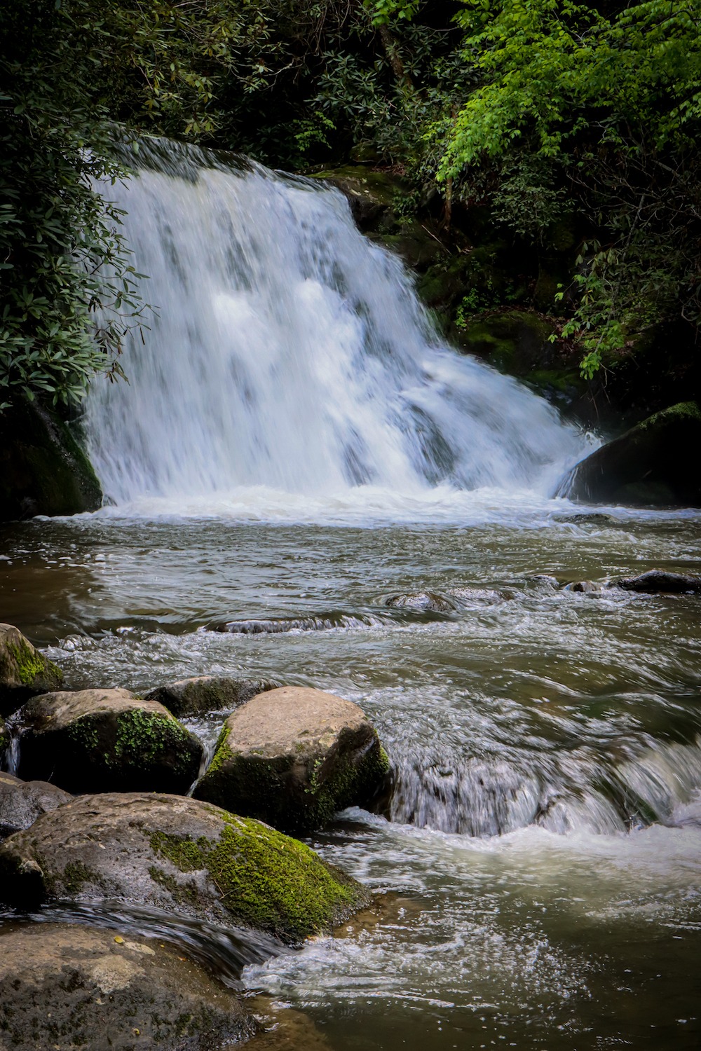 Hiking the Yellow Creek Falls Trail in Robbinsville NC