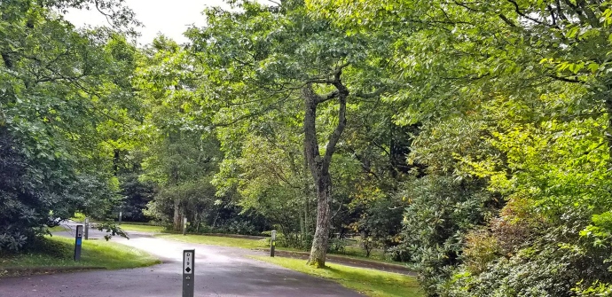 Mt Pisgah Campground sites