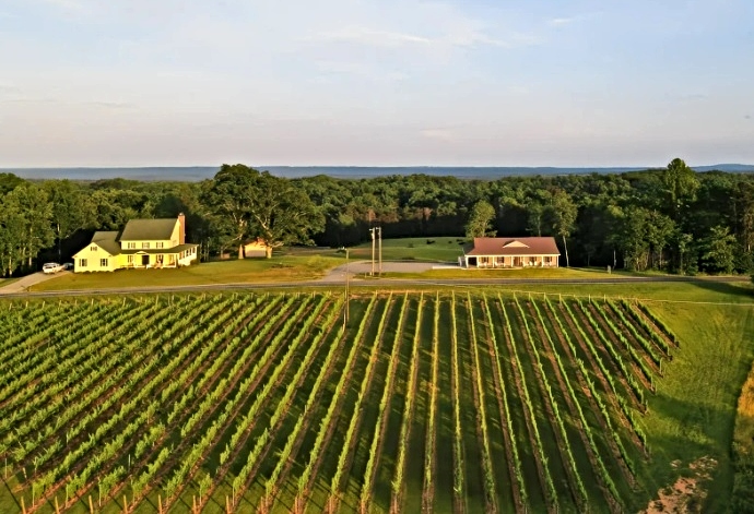 Wineries Yadkin Vally - Haze Gray Vineyards