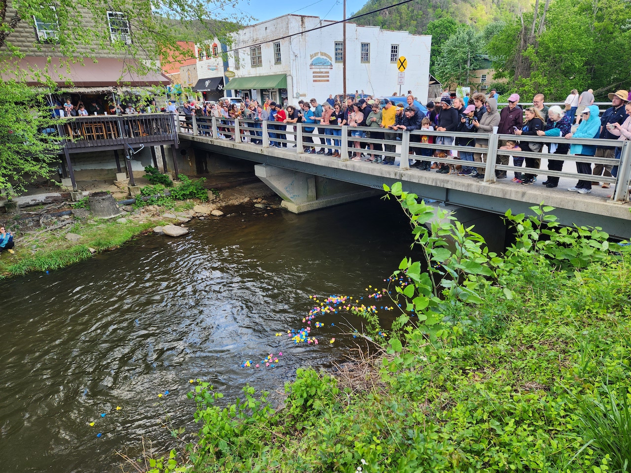 Hot Springs Trail Fest Spring Celebration in Hot Springs NC