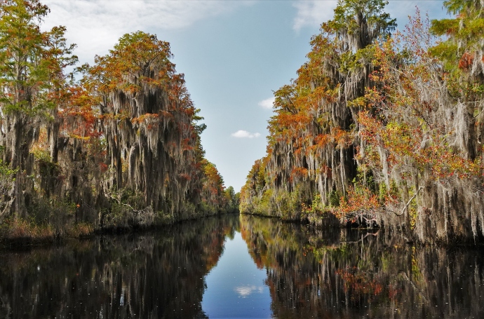 Camping in GA, Okefenokee