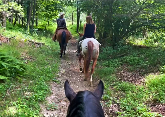 Skyland Stables Trail Ride