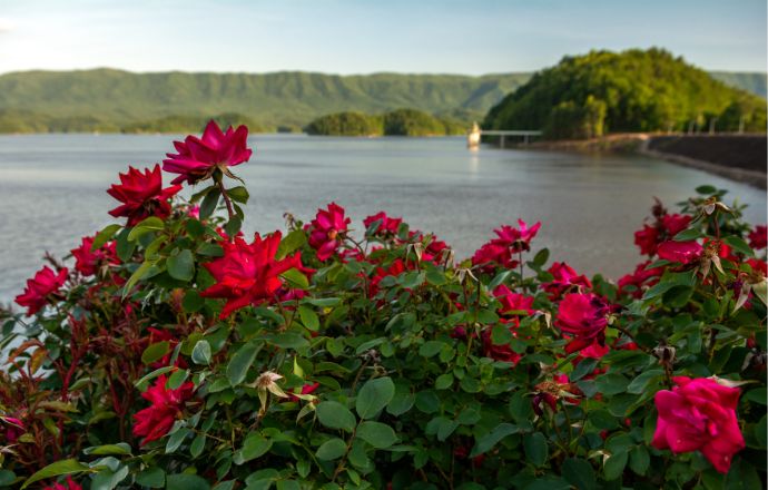 South Holston Lake in Bristol VA
