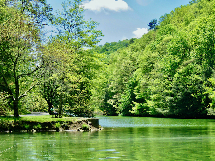 Things to Do in Bristol TN - Steele Creek Park in Bristol TN:VA