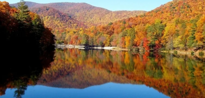 camping in ga, vogel state park