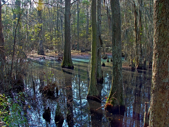 Haunted places in VA - First Landing State Park