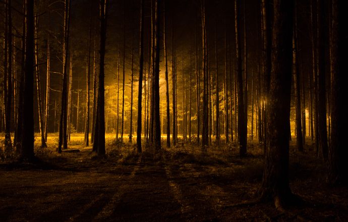 Haunted Forest in Virginia - Old House Woods 