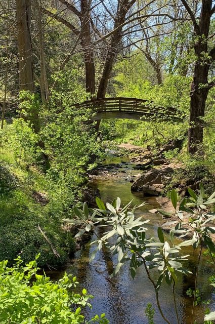 hiking near asheville nc - NC Arboretum Bridge 