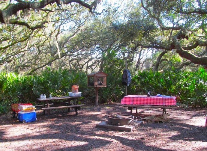 South Georgia Campgrounds - Sea Camp Campground