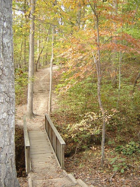 hiking near Raleigh NC - Umstead State Park