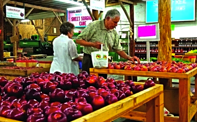 apple orchard in Cosby TN - Carvers Orchard and Applehouse Restaurant