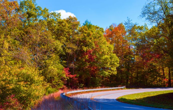 Tennessee fall colors - Cherohala Skyway Drive in Fall
