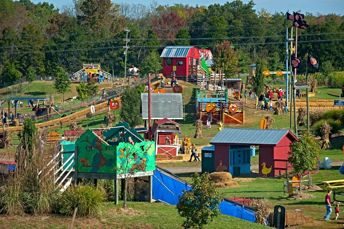 Pumpkin Patches in Northern Virginia - Cox Farms