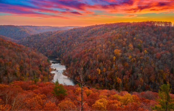 Fall Tennessee - East Rim Overlook Big South Fork National River & Recreation Area TN