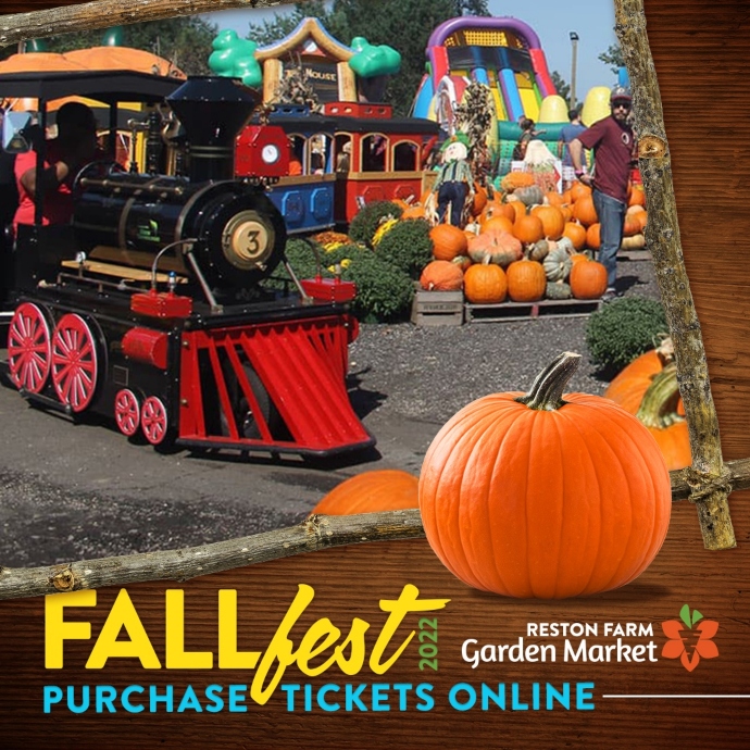 Reston Farm Garden Market Fall Festival