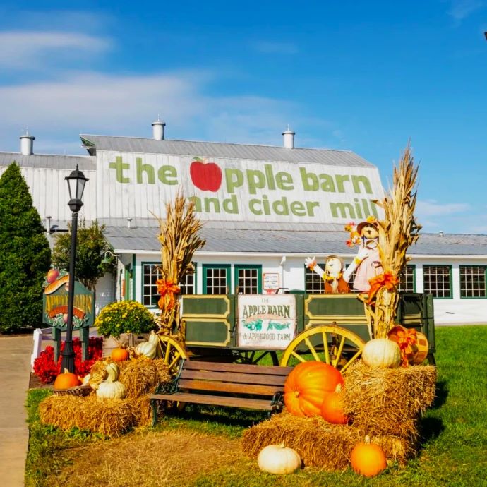 apple barn in pigeon forge tn