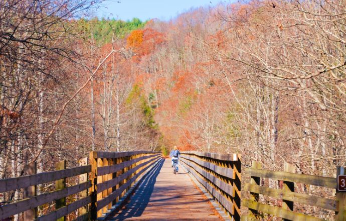 fall in Tennessee