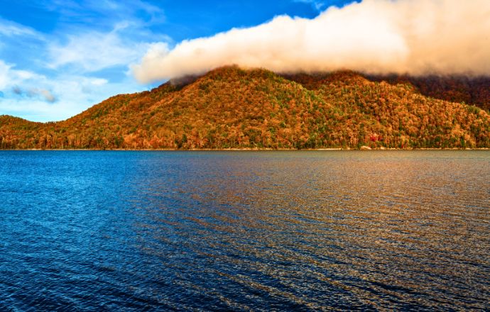 fall colors in Tennessee -Watauga Lake, Cherokee National Forest