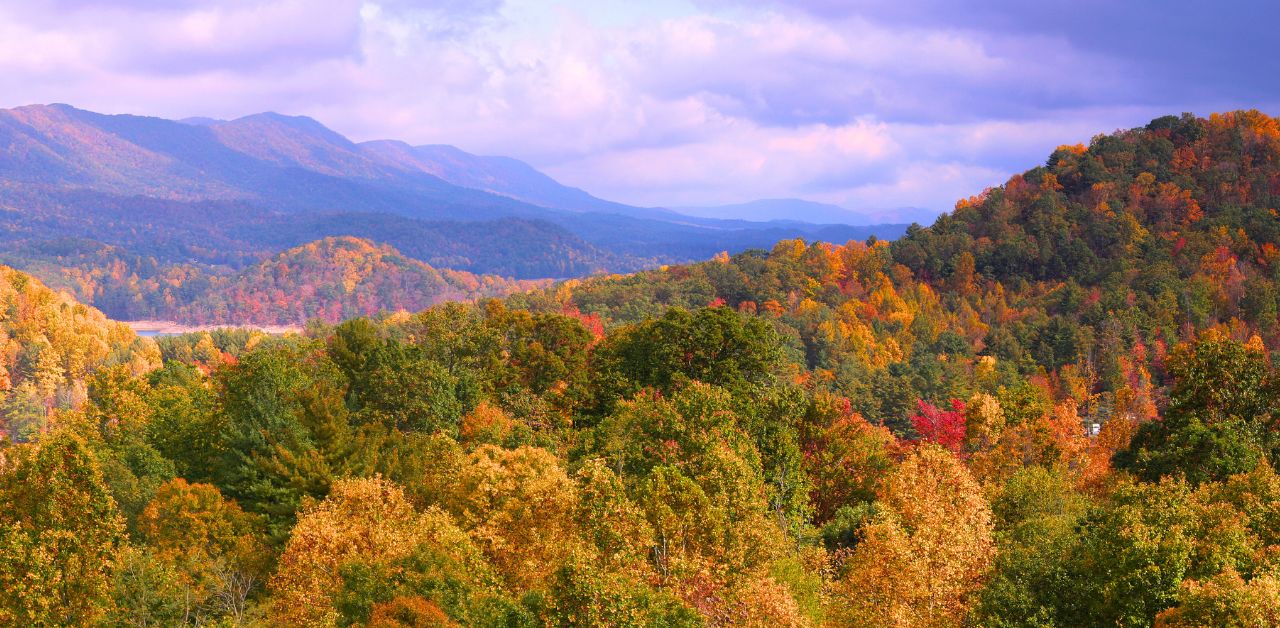 fall Tennessee