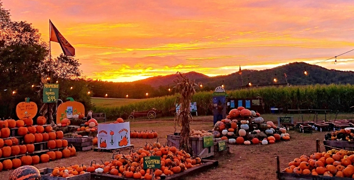 Fredericksburg pumpkin patch -Blue Blue Ridge Mountain Maze