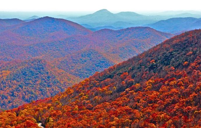 Fall in GA - Brasstown Bald
