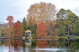best fall foliage in Virginia - Lewis Ginter Botanical Garden Richmond