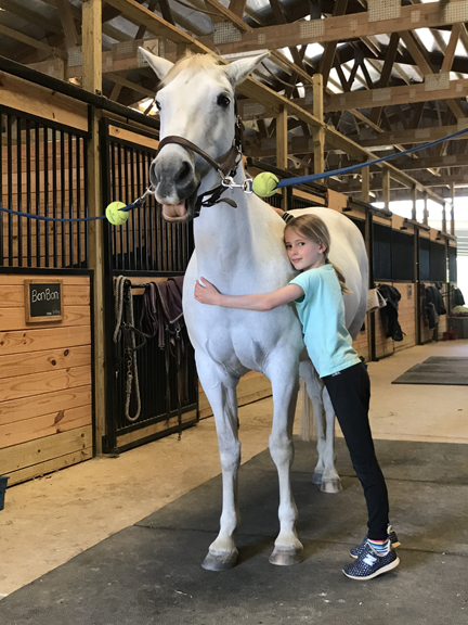 Pegasus Hill Farm horseback riding in Weaverville