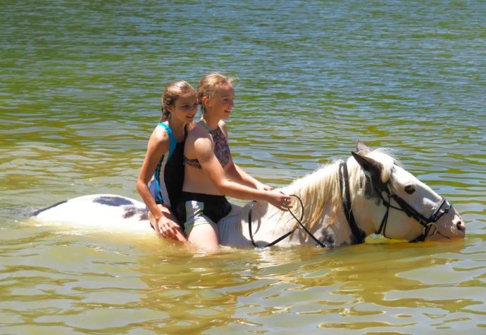 Shea Rose Farm near Hendersonville NC