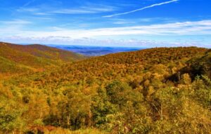Shenandoah National Park Fall Foliage 