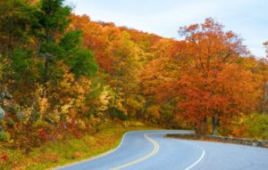 Skyline Drive fall foliage via Canva