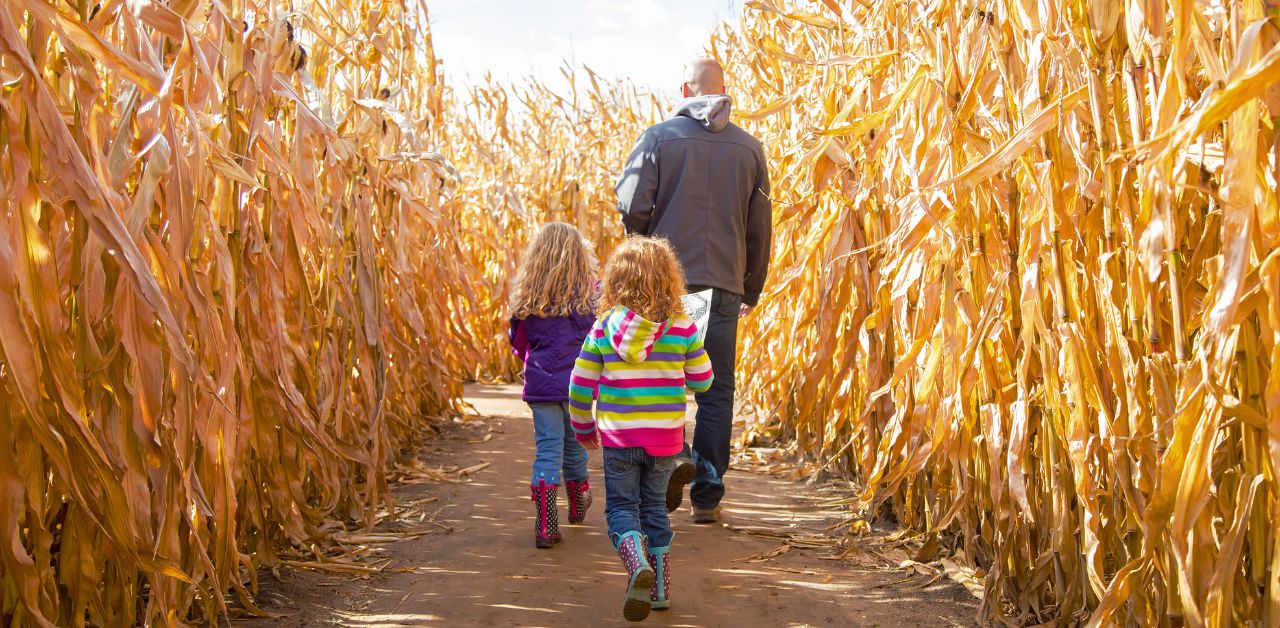 Best Corn Mazes in Virginia