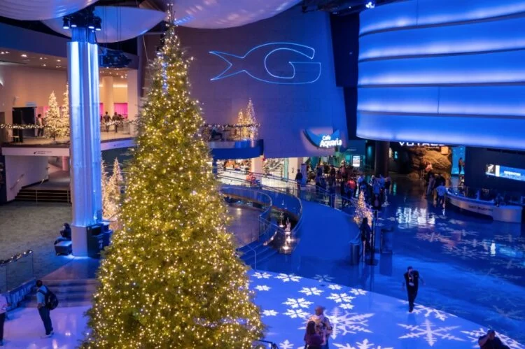 Holiday Tree Lighting at Georgia Aquarium Winter Waterland