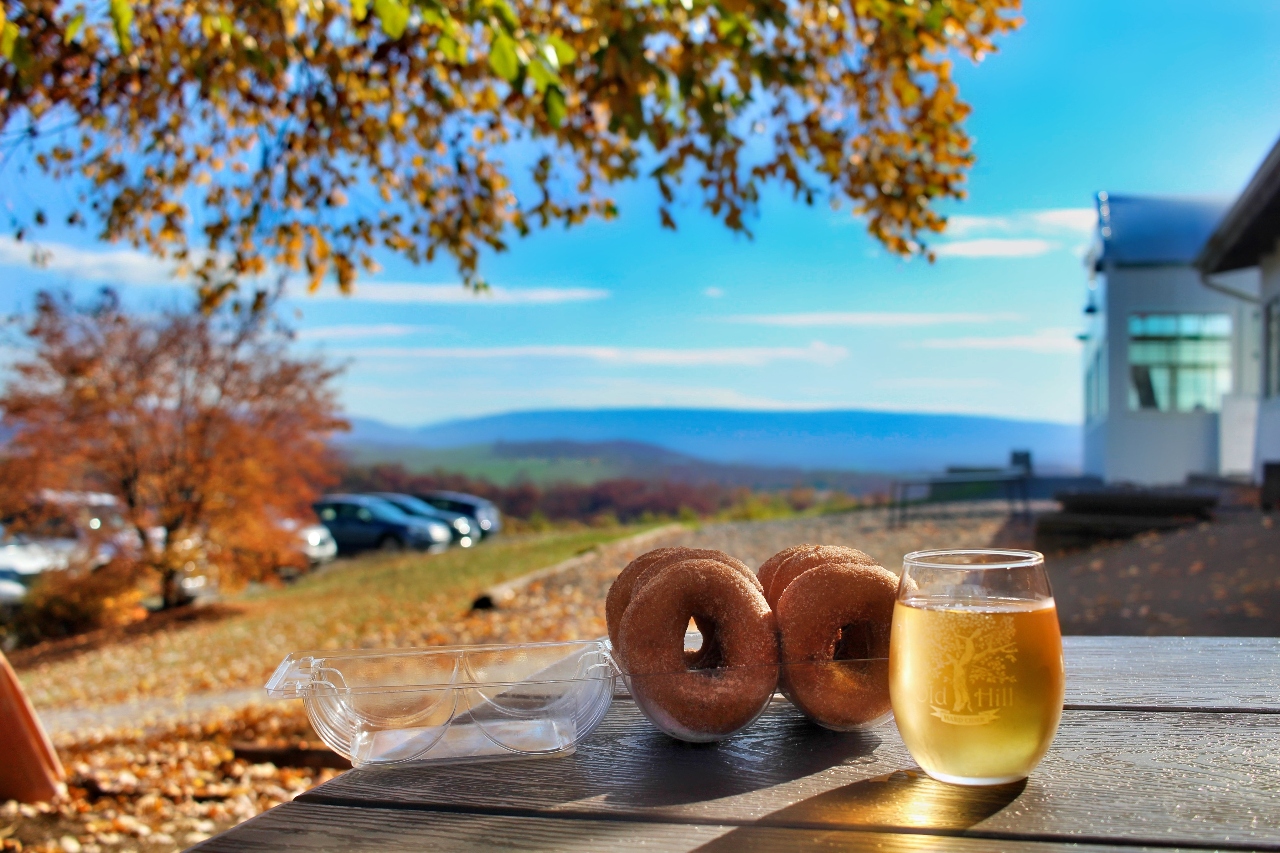 The 10 Best Breweries in Harrisonburg VA to Visit Blue Ridge