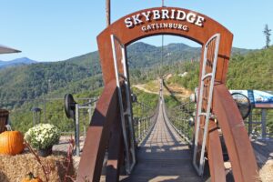 Gatlinburg TN attractions - Skybridge