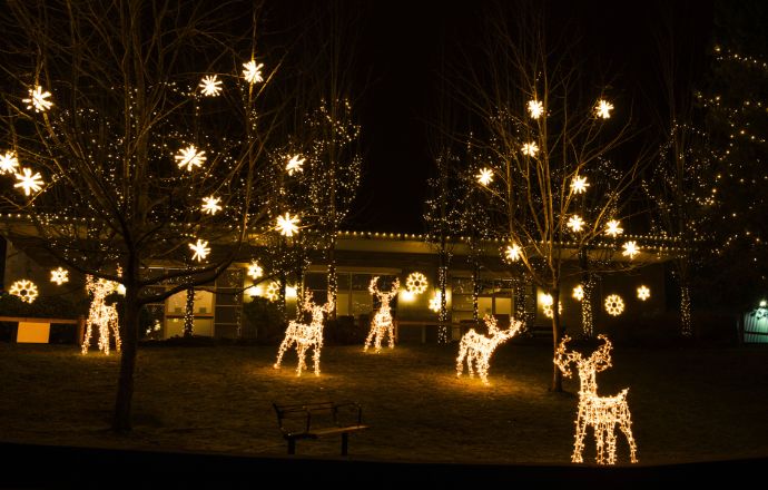 A Mountain Christmas Trail of Lights NC