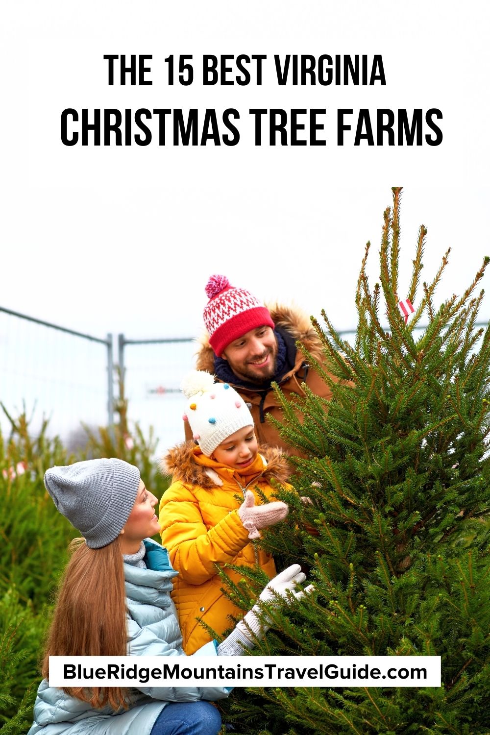 The 15 Best Christmas Tree Farms in Virginia (2023)