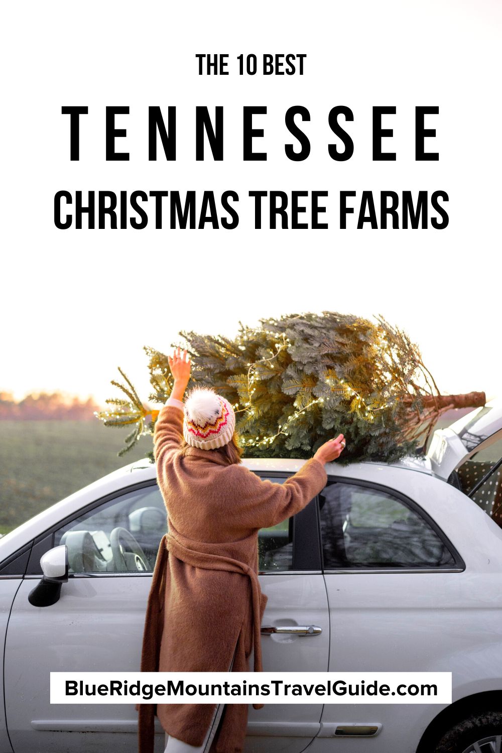 The 10 Best Christmas Tree Farms in Tennessee (2023)