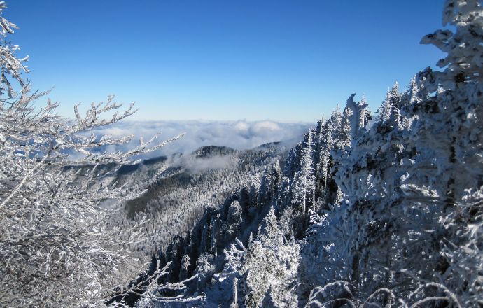 Winter in Great Smoky Mountains National Park, Tennessee