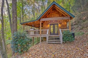 The 10 Best Pet Friendly Cabins in Blue Ridge GA - Blue Ridge Mountains