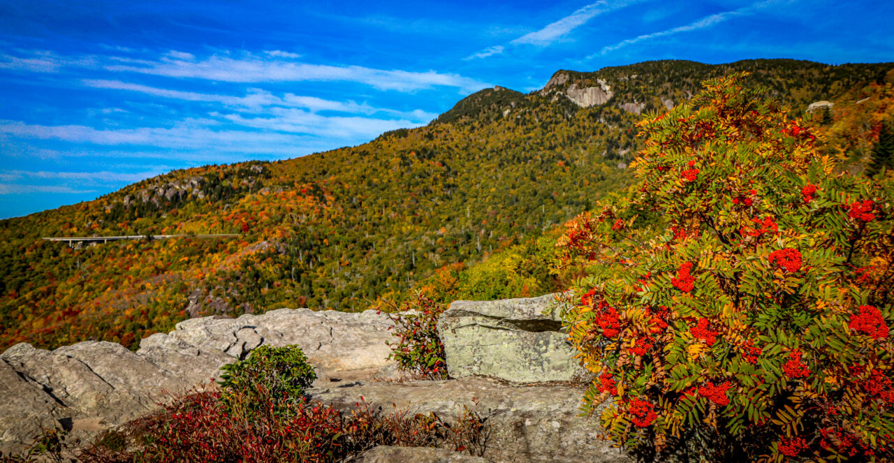 Linn Cove Viaduct in Fall w/ Grandfather Mountain Panorama 