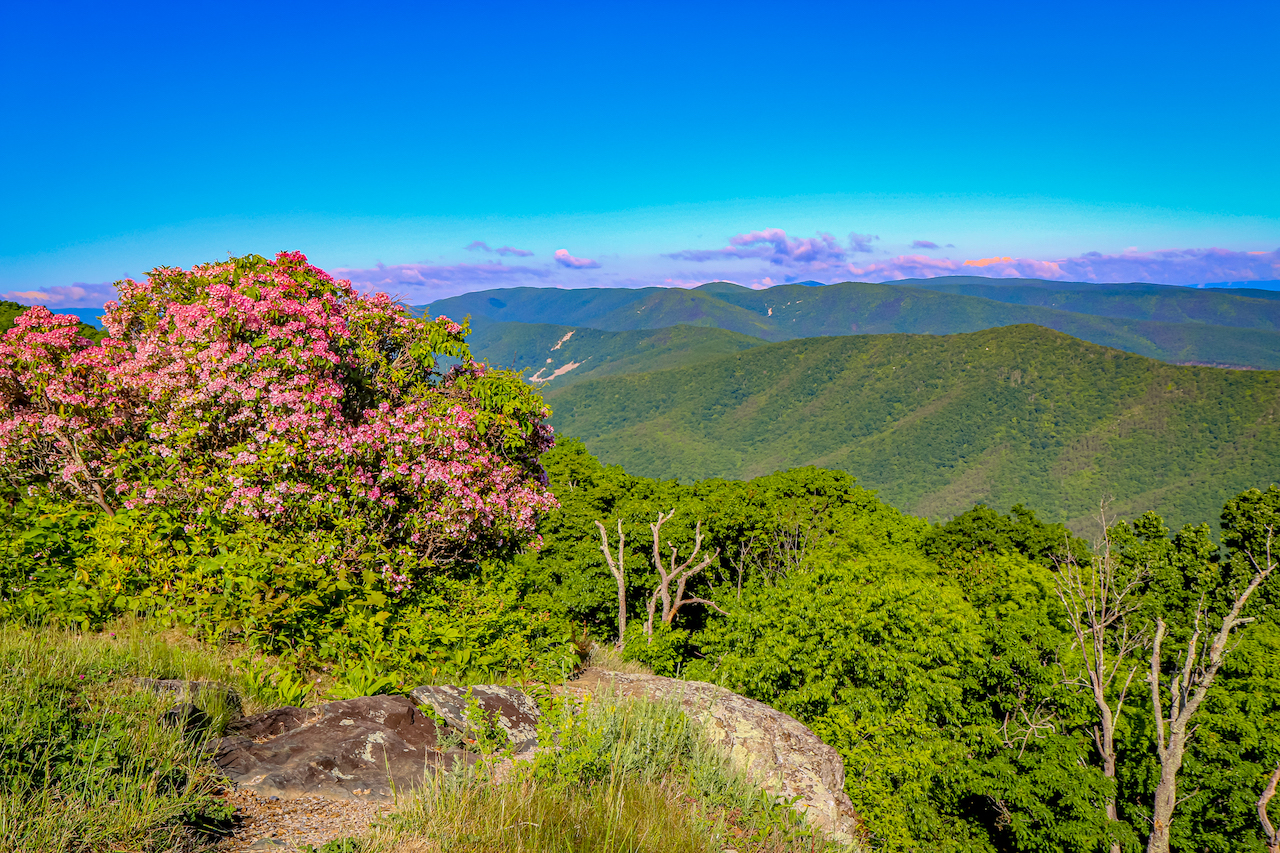 Rock Point Overlook Blue Ridge Parkway (MP 10.4) VA