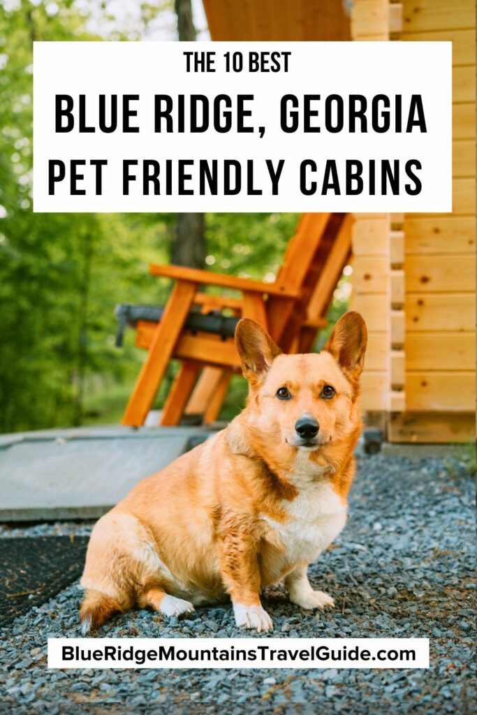 The 10 Best Pet Friendly Cabins in Blue Ridge GA - Blue Ridge Mountains