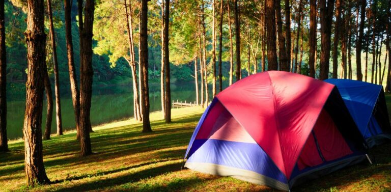 The 10 Best Campgrounds In North Carolina To Visit - Blue Ridge 