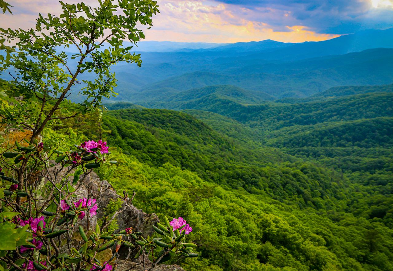 Hiking Trail View at the Blowing Rock in Blowing Rock NC