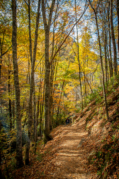 Hiking the Soco Falls Trail in Maggie Valley NC