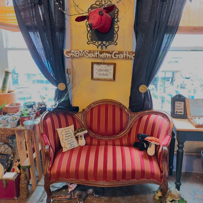 Great Southern Gothic Curiosity Shoppe